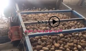 ویدئو کاربرد موتور ویبره در سورتر